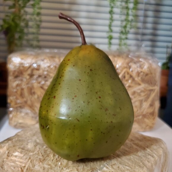 (6) Realistic Artificial Fruit – Home Décor - Picture 3 of 9